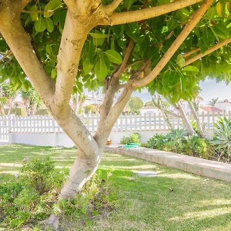 Tatil Evi Adosado *